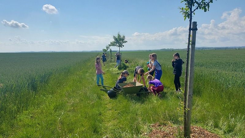 Alej z Poříčan na Hořany znovu opečovaly děti z Úval