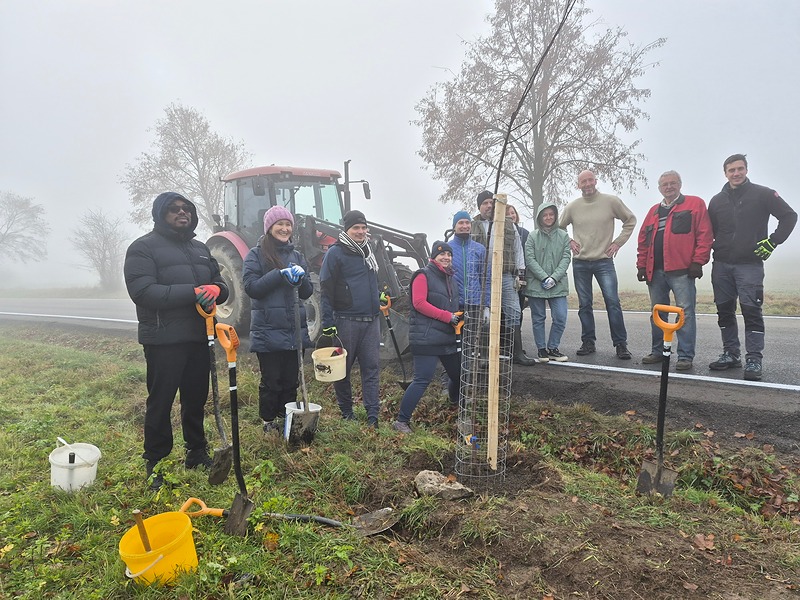 Třenice mají novou slivoňovou alej