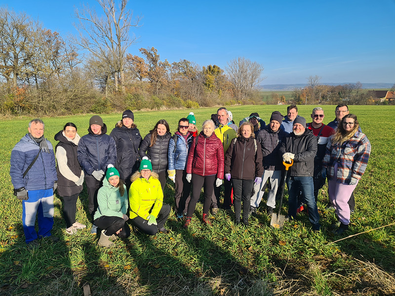Třešňová alej propojující Prace s Kobylinicemi