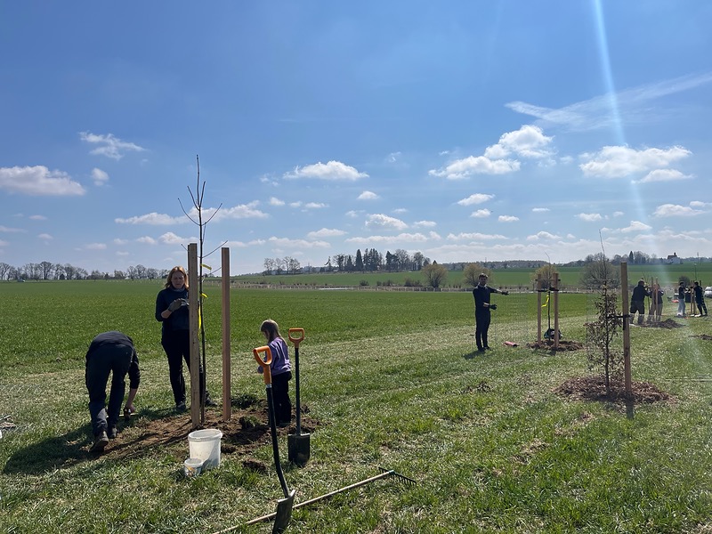 Znovu Tehov, tentokrát za slunečného počasí a dalšími 31 stromy