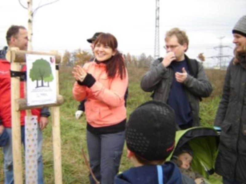 Dosazení větrolamu na louce ve Slivenci - 12 nových stromů