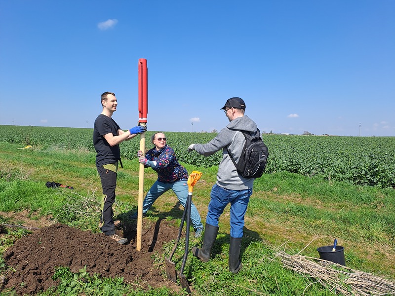 Opalování a pohoda u sázení s CISCO