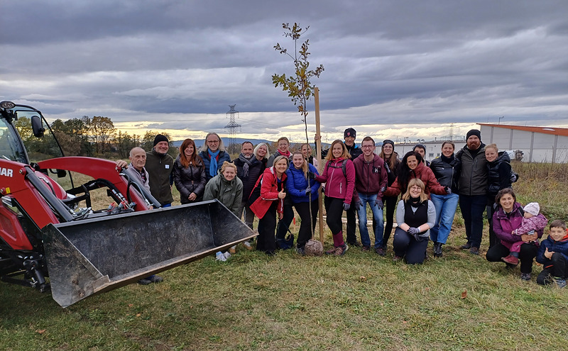 Obnovené stromořadí v Úsilném