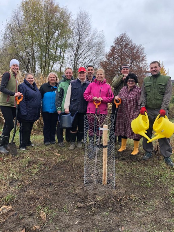Všestudy vrací do krajiny ovocné aleje
